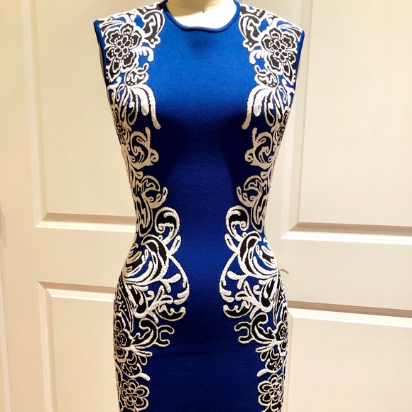BCBGMaxAzria bodycon dress - Picture 1 of 4